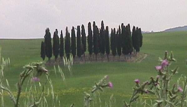B&B Il Vecchietta Castiglione dʼOrcia Exterior foto